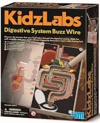 [4893156033864] Digestive System Buzz Wire 4M