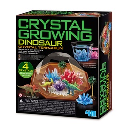 [4893156039262] Crystal Growing Dinosaur Terrarium