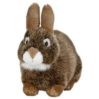 [5037832305367] European Rabbits